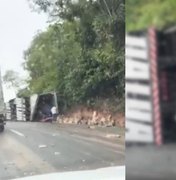 Carga de queijo é saqueada após caminhão tombar na BR-101, perto do município de Flexeiras