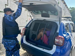 Foragido e homem com mais de dez passagens pela polícia são presos com drogas em Maceió