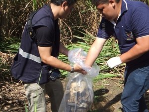 Ossada humana é encontrada na parte alta de Maceió 