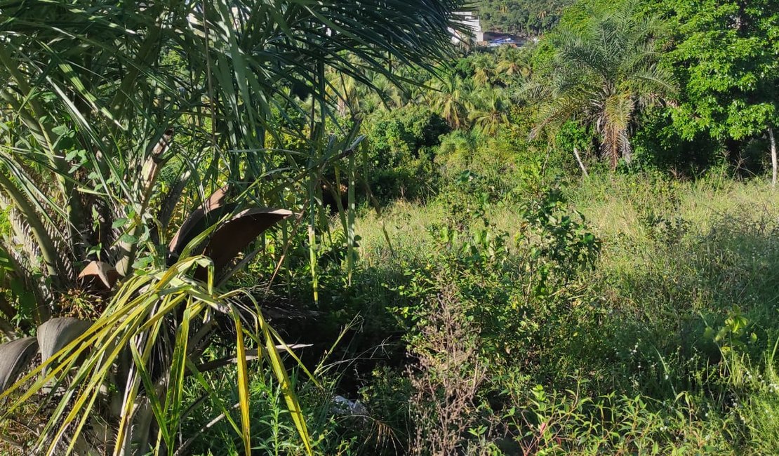 Mecânico é encontrado morto em matagal de Maragogi