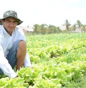 Cerca de cinquenta municípios são fortalecidos com projeto de Horticultura 