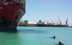 Ambientalistas vistoriam navios atracados no Porto de Maceió, principais responsáveis pela introdução da espécie na costa brasileira