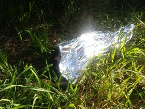 Ex-presidiário é morto a tiros às margens da BR-316 em Maceió