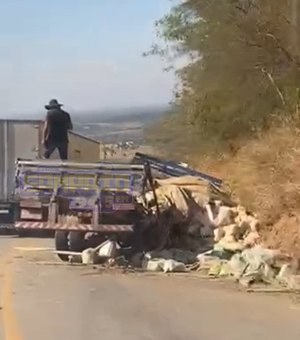 Falha nos freios provoca acidente com caminhão na Serra das Pias em Palmeira dos Índios