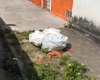 Bebê recém-nascido é encontrado morto dentro de sacola plástica em Delmiro Gouveia
