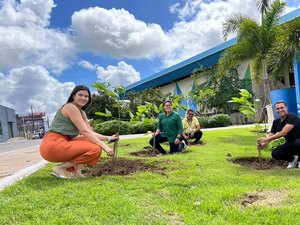 Dia do Meio Ambiente terá plantio de árvores e instalação de novas lixeiras em Arapiraca