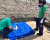 Mais um pinguim encalha em praia de Maceió; animal foi encontrado morto