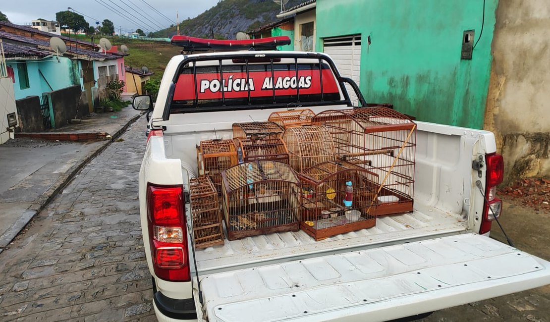 Homem é autuado com onze aves silvestres mantidas em cativeiro em Joaquim Gomes