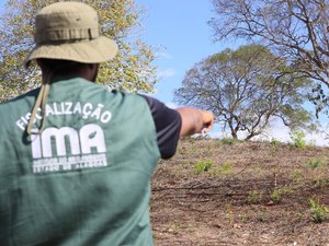 FPI do Rio São Francisco embarga áreas desmatadas equivalentes a 419 campos de futebol