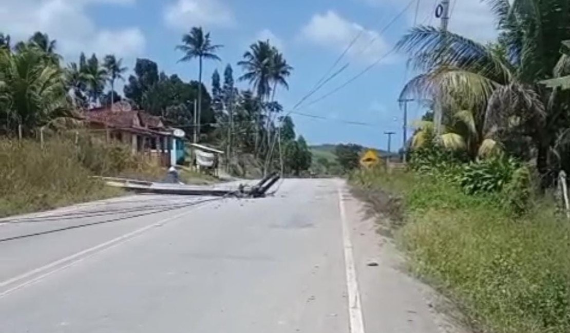 [Vídeo] Árvore e poste de energia desabam na AL 460, em Porto de Pedras