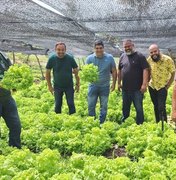 Projeto de Agricultura familiar gera renda em assentamento rural de Maragogi