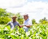 Garantia Safra beneficiará 587 agricultores de Palmeira com mais de R$ 700 mil