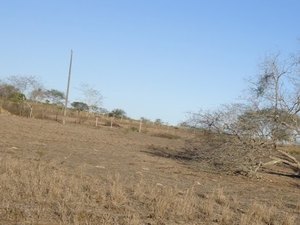 Arapiraca receberá ajuda contra efeitos da seca