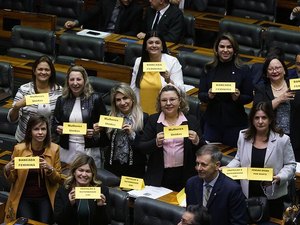 Pressão da bancada feminina altera texto da reforma da previdência