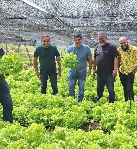 Projeto de Agricultura familiar gera renda em assentamento rural de Maragogi