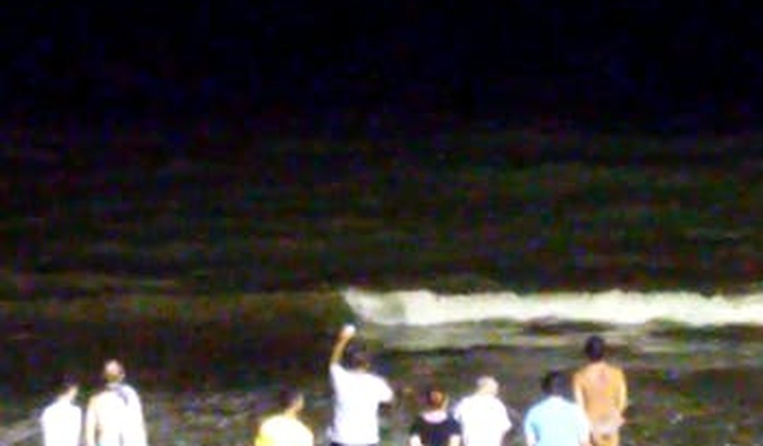 [Vídeo] Tubarões são avistados à beira-mar da praia de Jatiúca