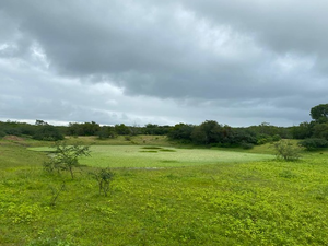 Fazenda com 780 tarefas em Pão de Açúcar será leiloada para o pagamento de dívida trabalhista