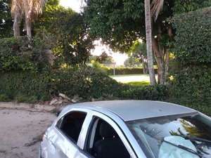 Motorista com sinais de embriaguez derruba muro de residência em Arapiraca