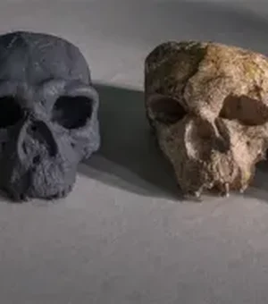 Crânio de 1 milhão de anos desafia crenças sobre evolução humana