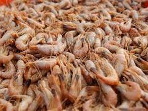 Nas vésperas da Semana Santa o preço dos pescados aumenta cerca de 16%