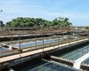 Falta de energia afeta abastecimento de água em Palmeira dos Índios e zona rural de Quebrangulo
