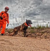 Cão farejador auxilia buscas por homem desaparecido após fortes chuvas em Piranhas