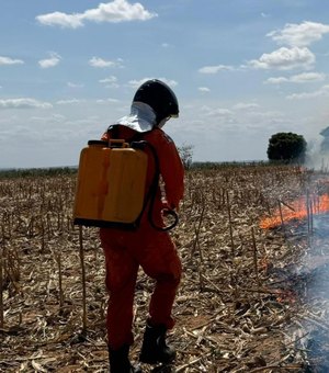 Corpo de Bombeiros registra aumento de 80% nos incêndios em vegetação em Alagoas