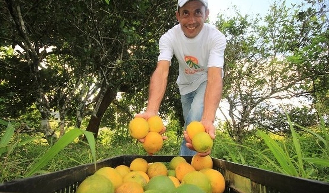 Empresa francesa quer investir em região do APL Fruticultura no Agreste