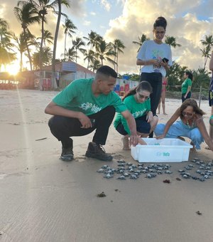 Primeira soltura de tartarugas marinhas da temporada acontece em Maceió