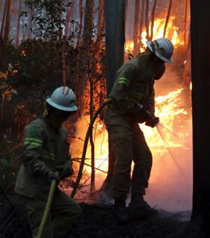 Cerca de 2 mil bombeiros combatem incêndio no centro de Portugal