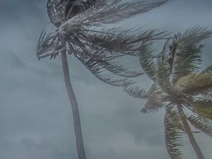 Vendaval e chuvas fortes: Alagoas entra em alerta climática até sábado (18)