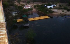 Elevação do Rio São Francisco deixa ribeirinhos no prejuízo em Piranhas