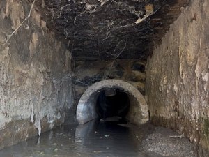Ilha do Ferro sofre com despejo de esgoto sem tratamento no Rio São Francisco