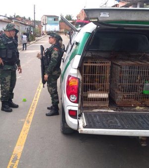 Polícia Ambiental resgata mais de 100 aves em operações realizadas em Alagoas