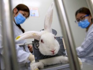 Avon anuncia fim dos testes em animais em empresas da marca no mundo