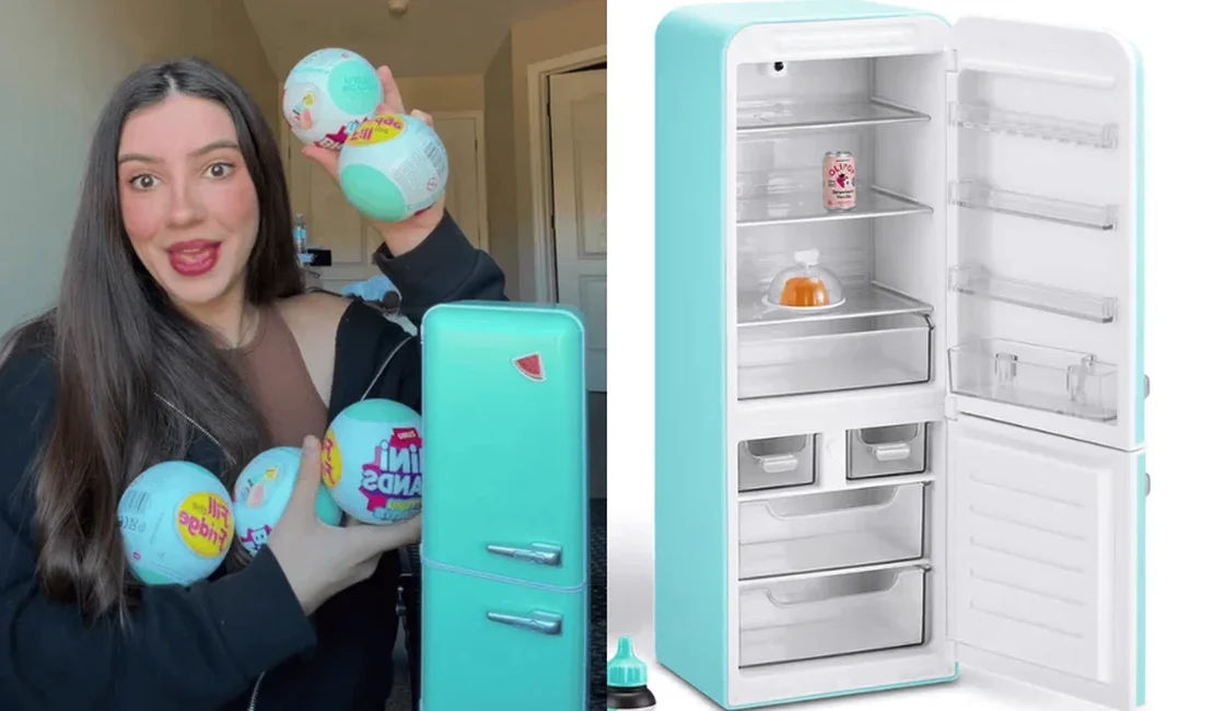 Geladeira em miniatura viraliza e revela nova moda entre adultos