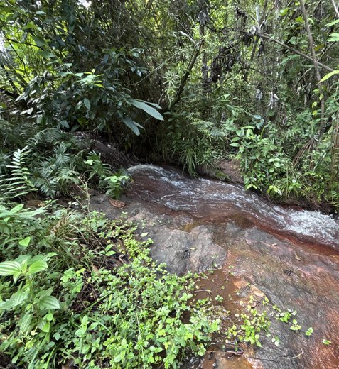 Rota do Cacau amplia ecoturismo e preservação ambiental em Matriz de Camaragibe