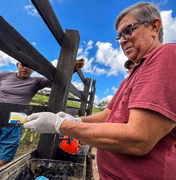 Prefeitura de Penedo faz vacinação gratuita contra brucelose em bezerras de produtor rural de baixa renda