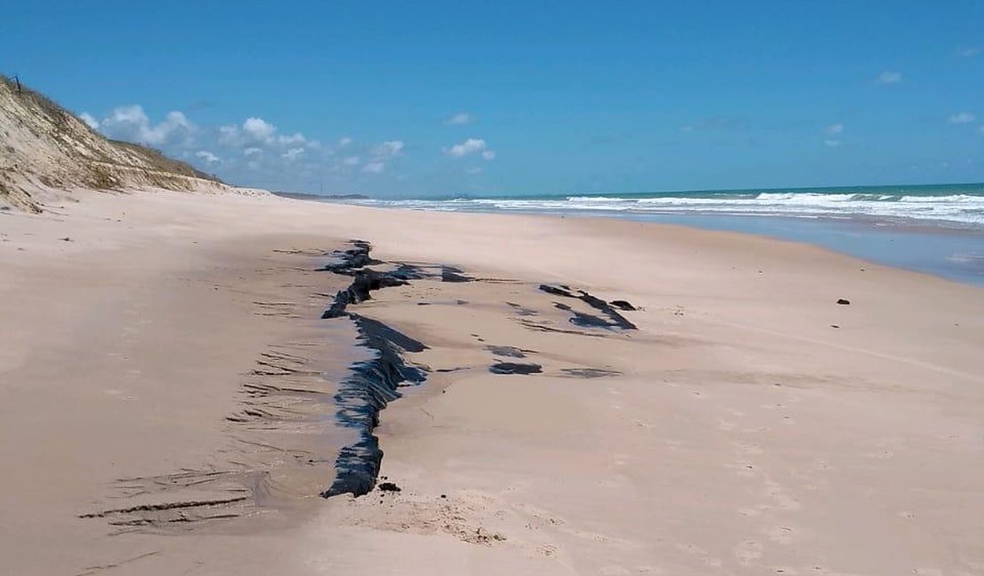 Governo edita MP para conceder auxílio a pescadores de municípios atingidos por óleo