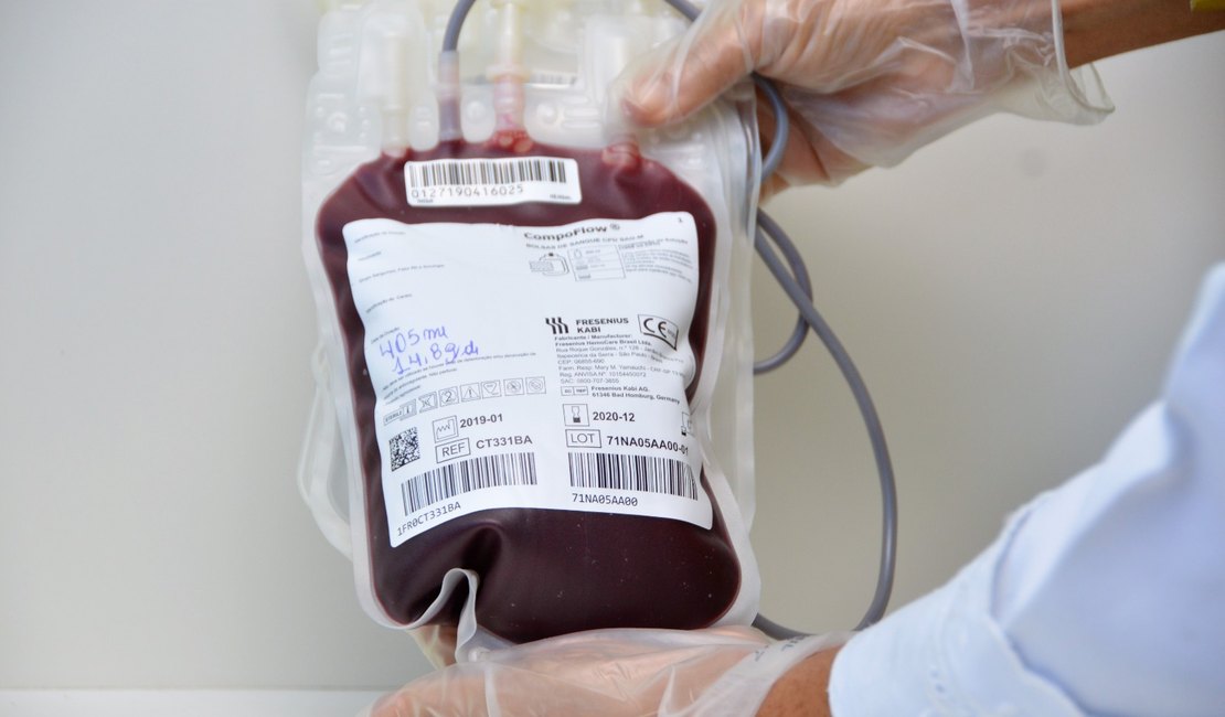 Hemoal realiza coleta de sangue em Junqueiro e União dos Palmares nesta terça (18)
