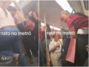 Rato invade vagão feminino do metrô e causa pânico entre passageiras