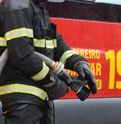 Incêndio em vegetação é registrado no município de Palmeira dos Índios