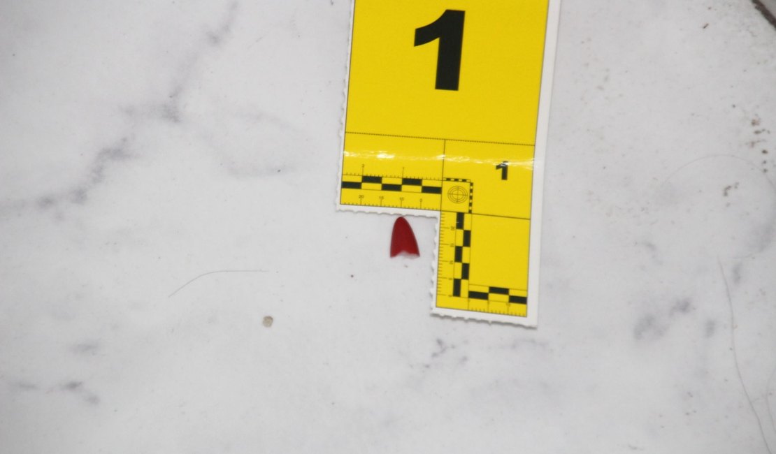 Como o trabalho da Polícia Científica ajudou a desvendar um feminicídio no Trapiche da Barra