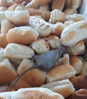 Animal morto é encontrado em alimento para reeducandos em Maceió