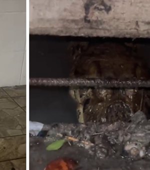 Jacarés são flagrados circulando por ruas e canais em cidade do Litoral Sul de Alagoas