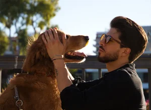 Empresa quer lançar tradutor de sons e gestos de animais para humanos