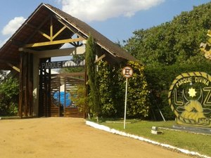 Maior vaquejada de Alagoas com R$ 190 mil em prêmios