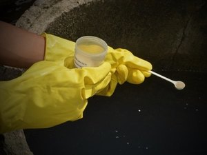 Secretaria de Saúde declara guerra ao Aedes aegypti