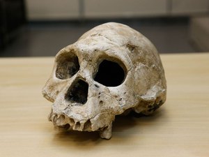 Descoberta de brasileiros pode mudar história da humanidade