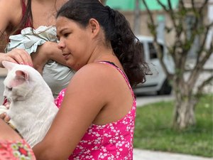 Mais de seis mil animais são vacinados no 'Dia D' contra a raiva em Palmeira dos Índios